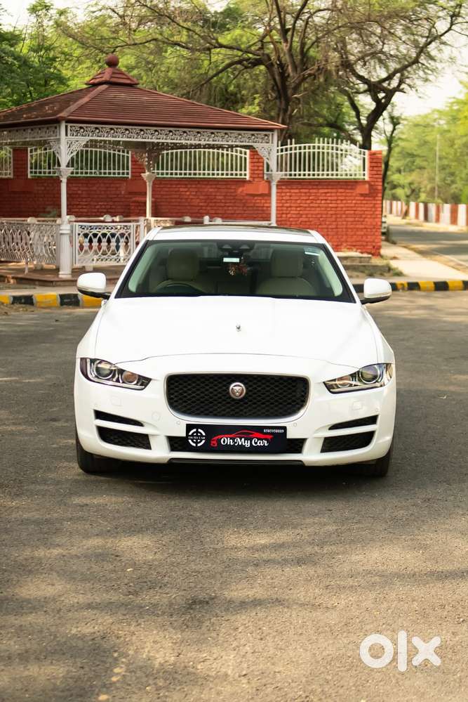 2019 Portfolio — ₹13.8L on OLX